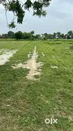 This is our new project