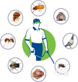 RR Home Solutions - R-Sol - Pest Control