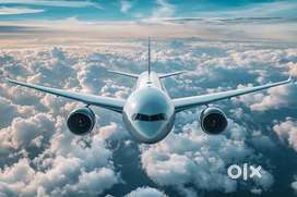 New vacancy open in indigo airlines apply fast