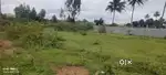 Sulebali for hoskote