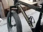 6 mahine purani
