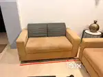 3 Seater and 2 Seater sofa
