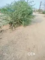 1453 Sq ft plot east facing Rs 5800000 me bechna hai Gangaram Bandil