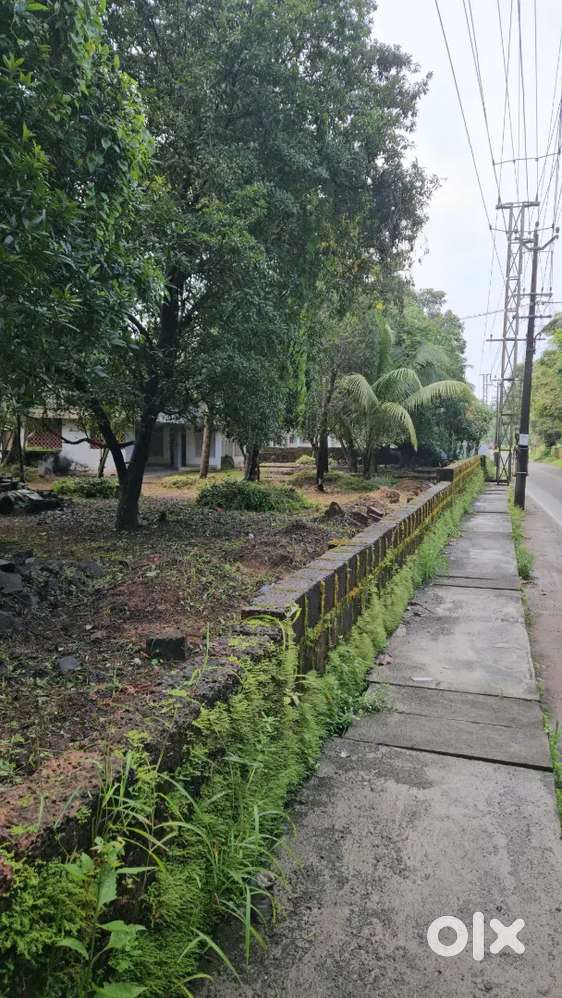 48 cent Land for sale