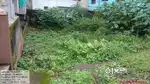 PLOT for sale in Defence colony Tital clr NA layout CTS Budha approval