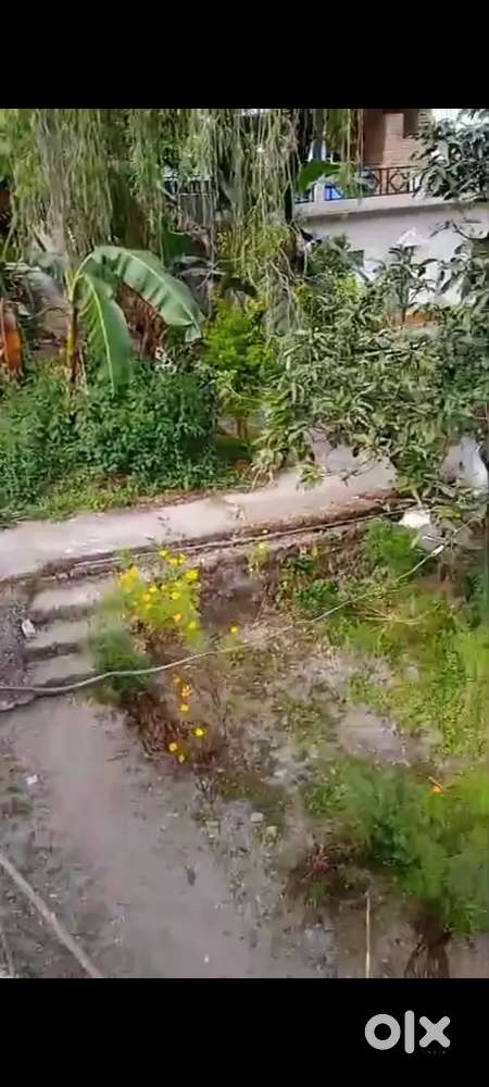 ज्योलिकोट की सुन्दर प्रॉपर्टी