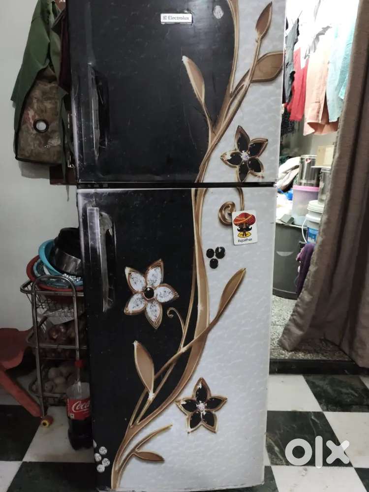 Electrolux  Double Door fridge 244 LTR. All functional