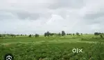 लखावा कॉर्नर 3 बीघा जनरल