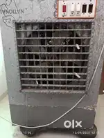 Cooler for immediate sale