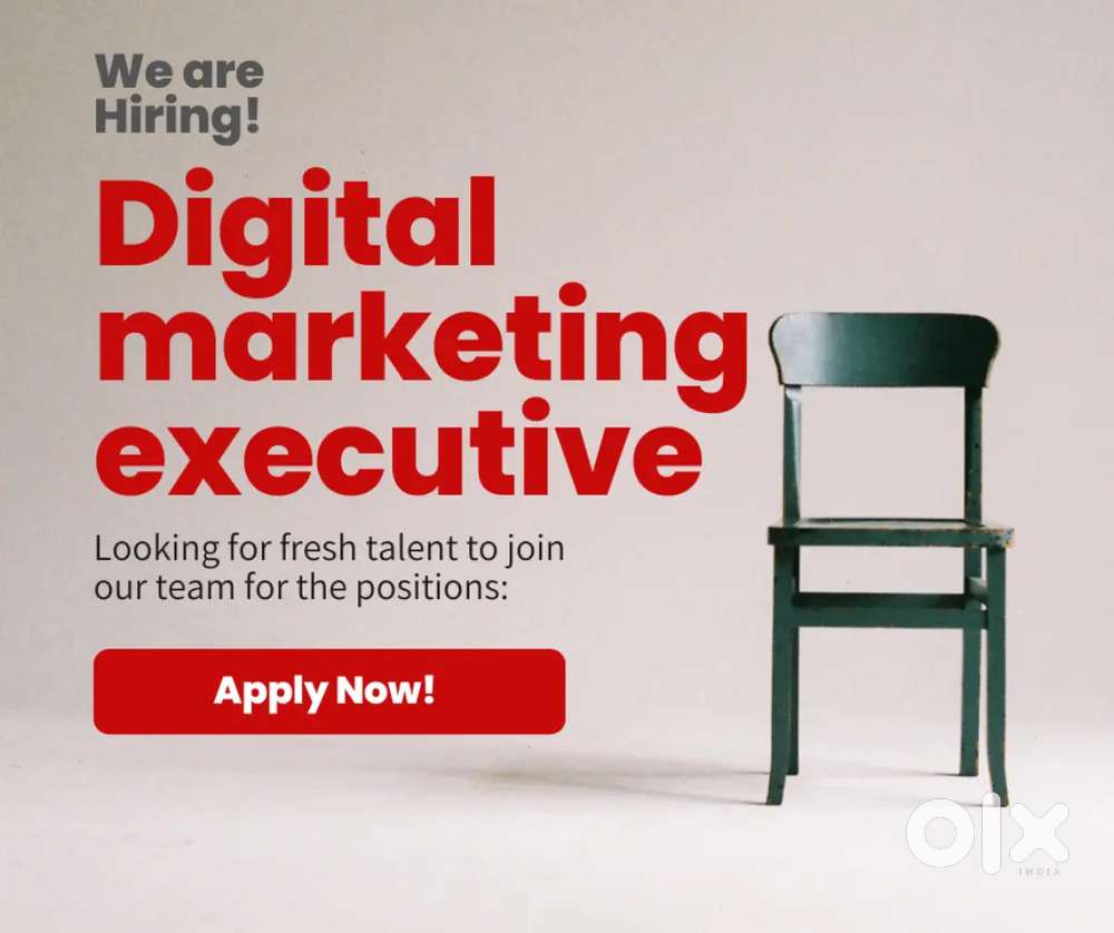 Digital marketing executive
