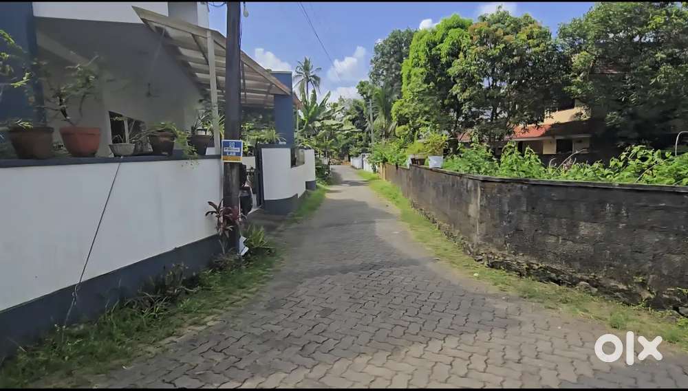 Nedumbassery near athani 5.5 cent house plot for sale immediately
