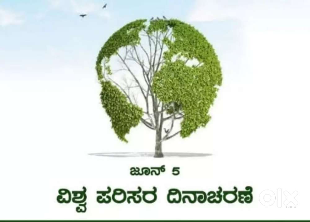 Sarjapura main road kalmelaram post