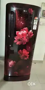 Lg 220l. 3 years old