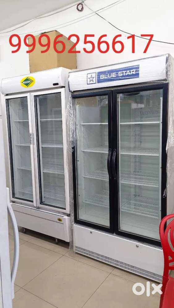 1000, ltr visicolor