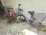 Hero - Miss India Petal Bicycle (2 Nos.)