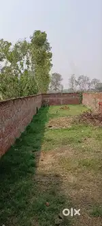 बैतालपुर मेन रोड पर अशोक बिरयानी के बगल में