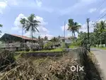 Aluva Kadungallur 12cent road frend land for sale