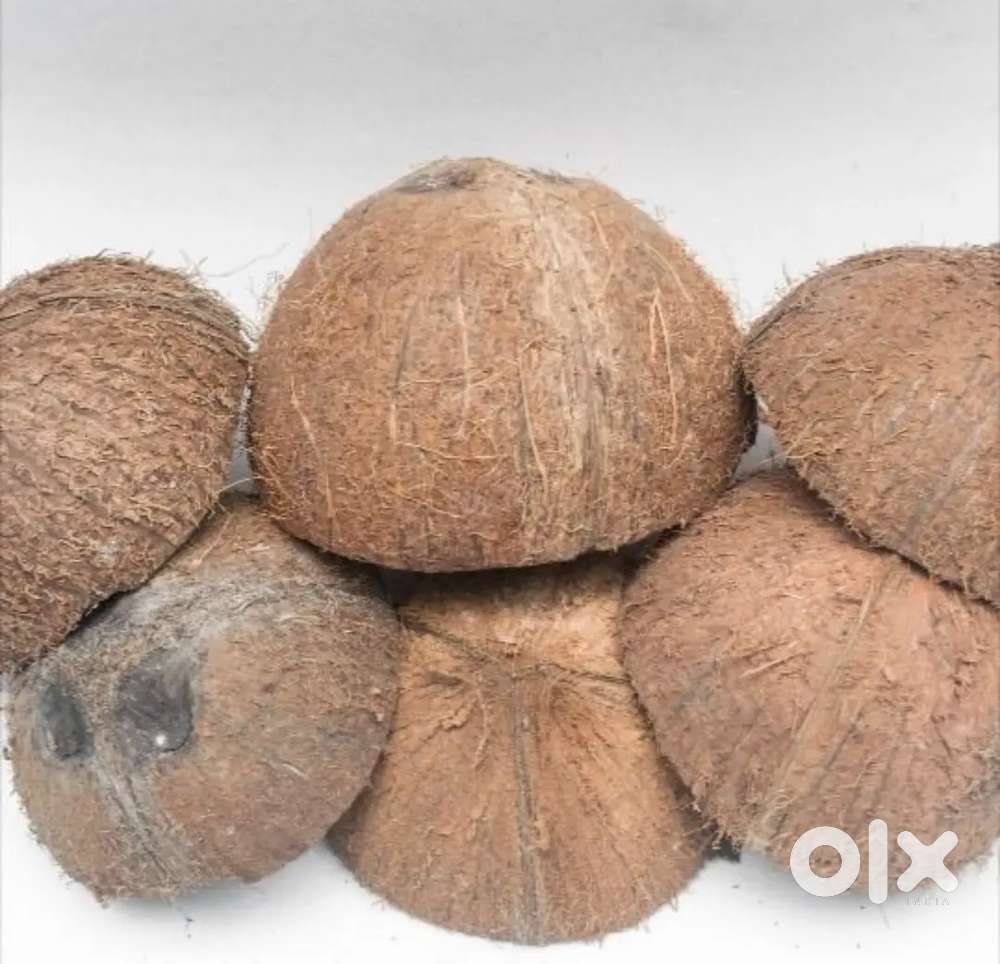 Coconut shells