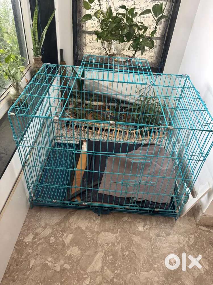 Cage for upto 1 year Dogs