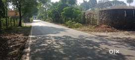 3 ACRES Agriculture plot @137 Rs per sq ft in DAHANU Near Main Road