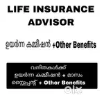 LIFE INSURANCE ADVISOR