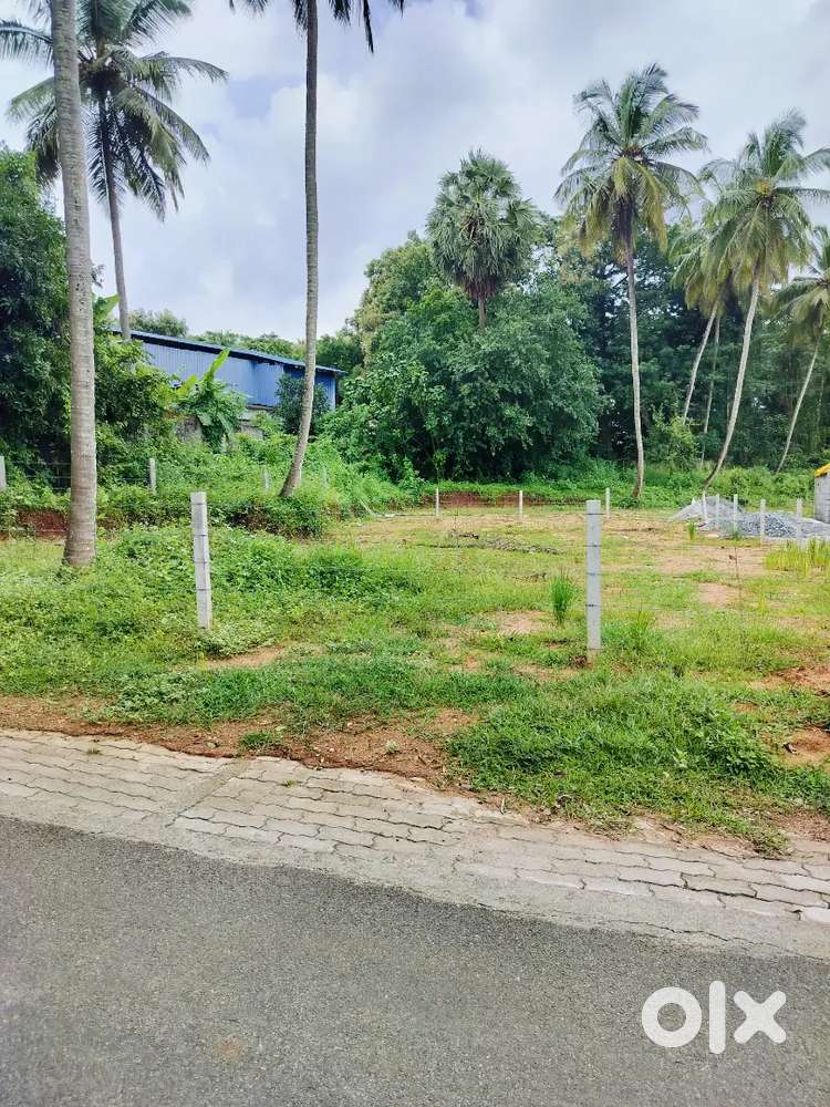 Kairali Eco village 13 km from pkd