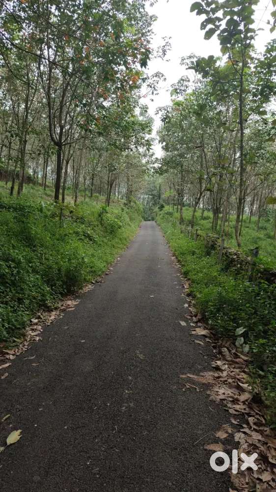 Thodupuzha vannapuram 4 acre 50 cent