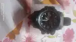 New harbor watch