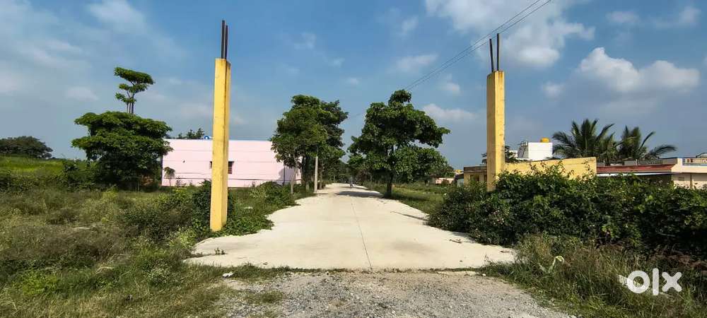 Budget friendly plots with all approval