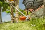GRASS CUTTING & LAWN MAINTENANCE SERVICE 299 only