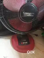 Fan crompton