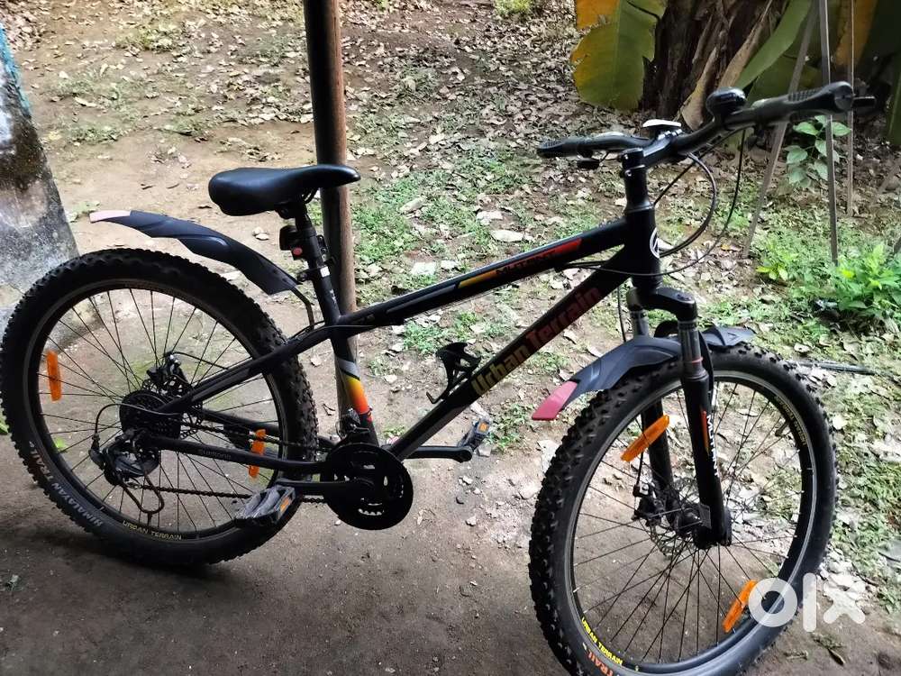 Sports bicycle on year old