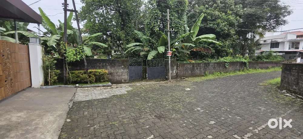 14.75 cent prime house plot Edappally pathadipalam Nr kinder hospital