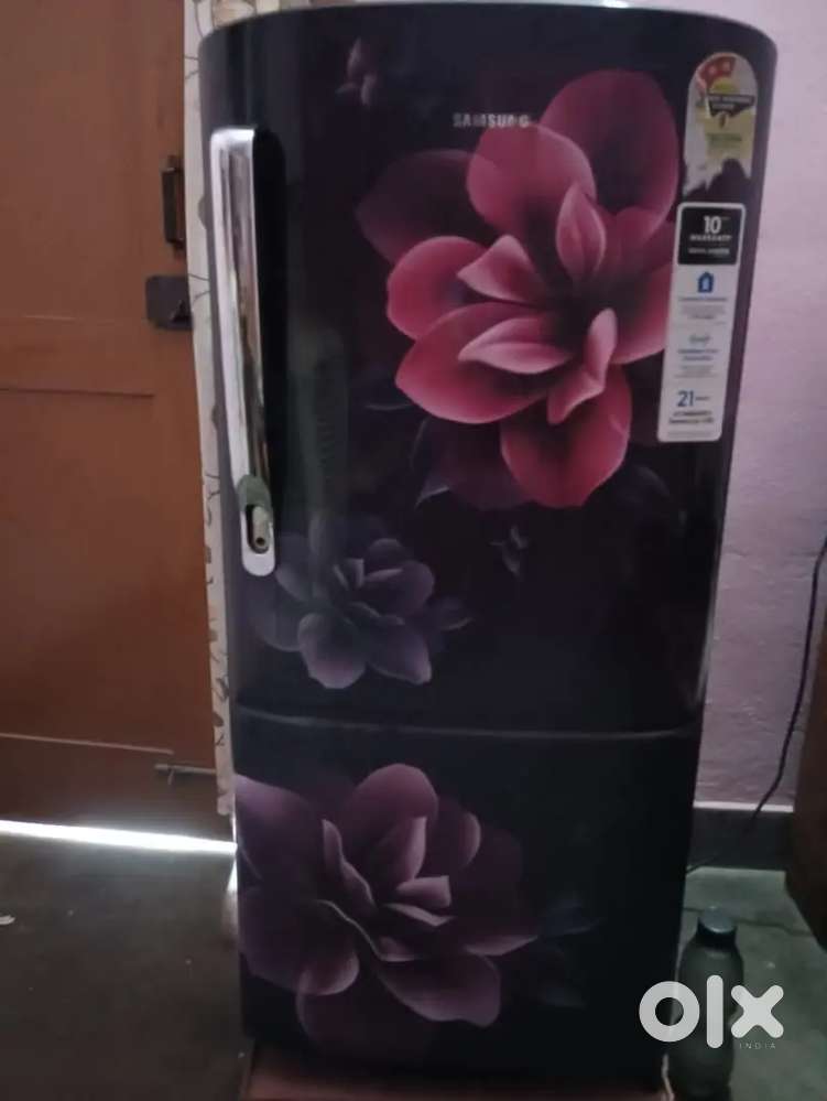 डेली नीड्स