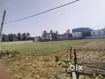 Vacant land-1.5 Acres- for rent- Trichy road,Sulur Via