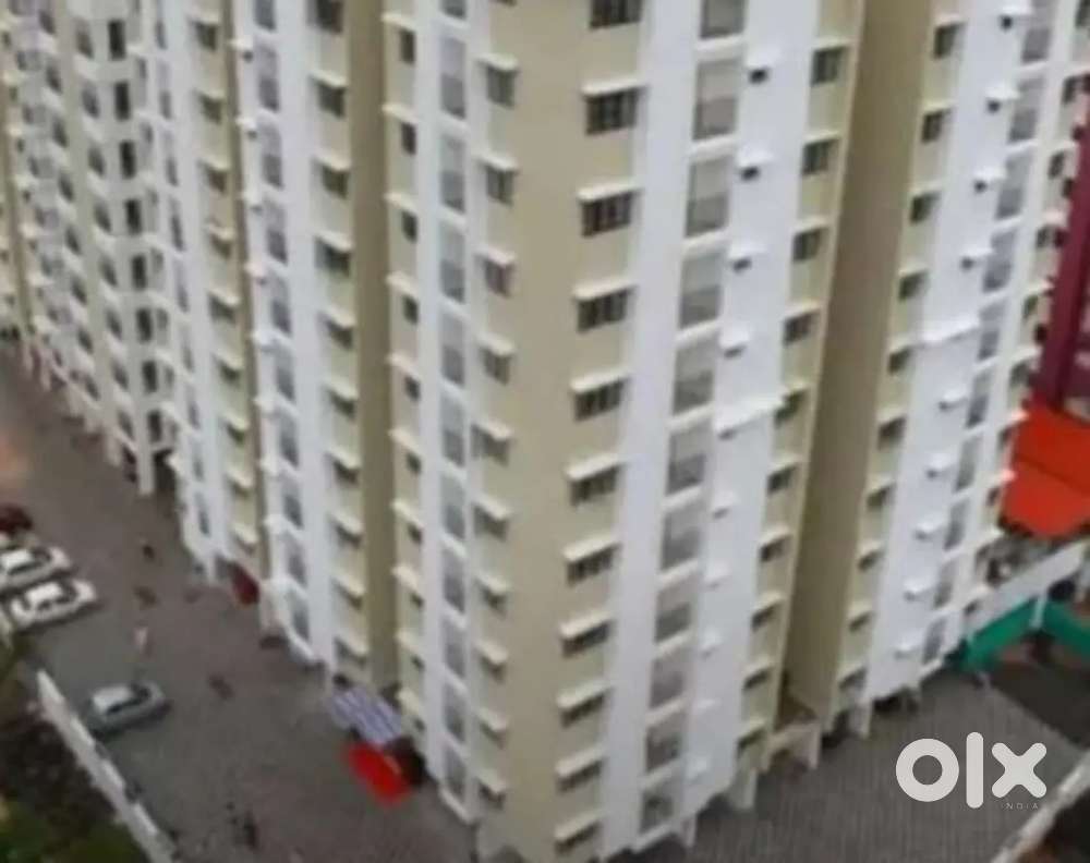 Appartment for rent in info park  kakkanad