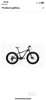 Raileage big sam fat bike only repair gear and front tyre