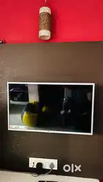 LG (32 inch) Tv