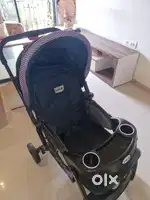 Stroller brand LuvLap