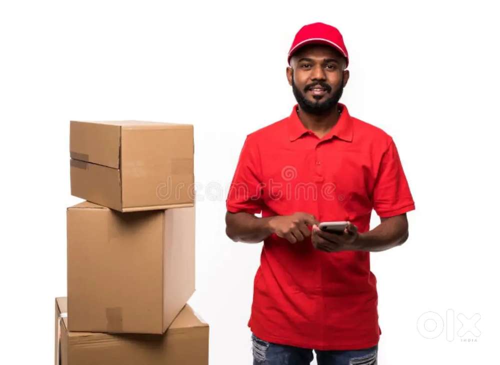 Delivery boy courier service parsel