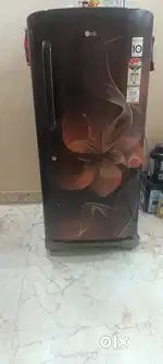 LG freedge