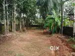 25 cents of flat land near Calicut City