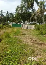 Farm Land for Sale