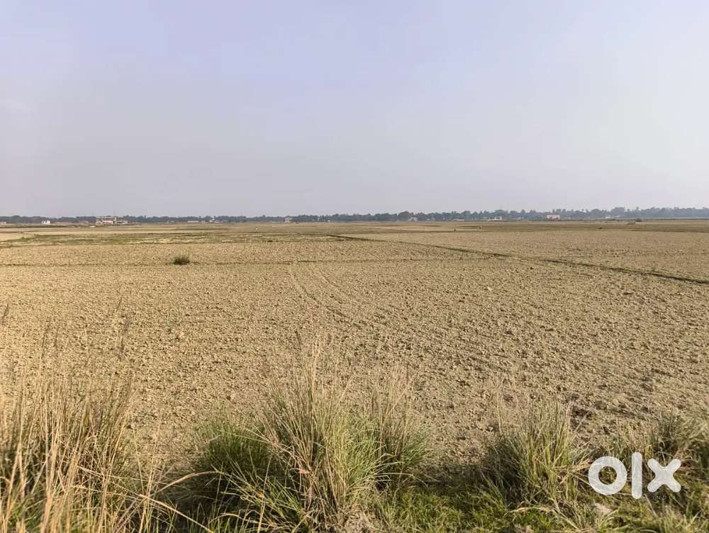 Allms ke nazdeek 1 kathha Zameen hai Square  me