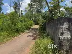 Kollam Chathannoor Uliyanadu High School ju dis 100 meter 90 cent