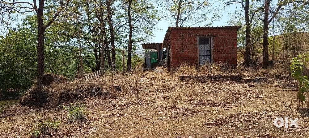 Farm helper required