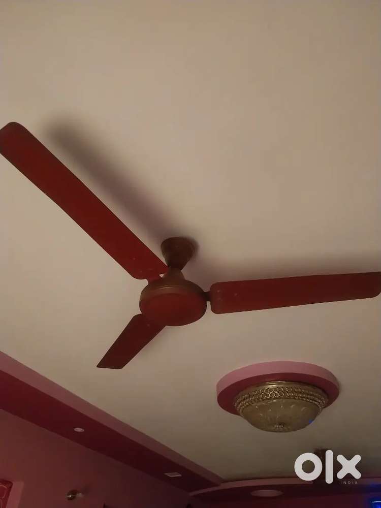 Ceiling Fan x2