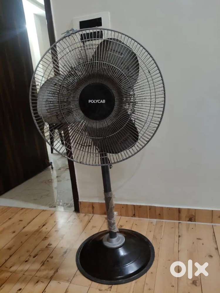 Polycab pedestal fan