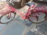 Avon Cycle