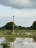34 Ankanams North facing plot for Sale… @95000/-